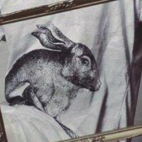 WTF market ~ móda, design, šperk
